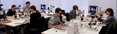 unicomarine workshop